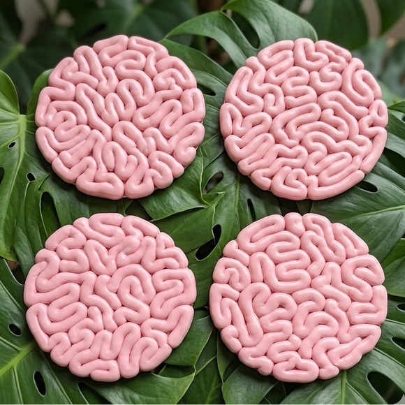 NASHY Other - Brain Coaster Set - Halloween Decor - 4 Piece Set - Pink